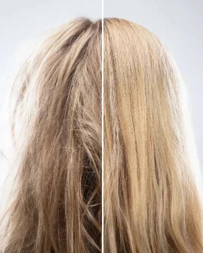 Sprödes Haar